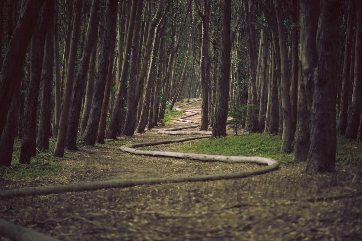 Environmental Conservation & Trail Restoration – Colorado